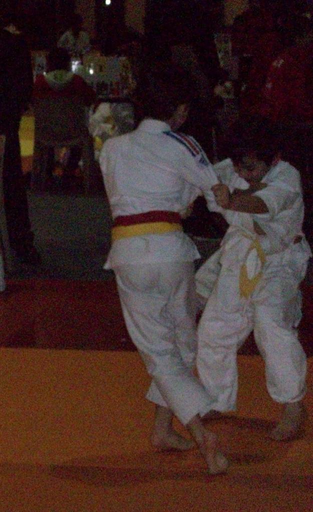 Combat d'Ali (1)