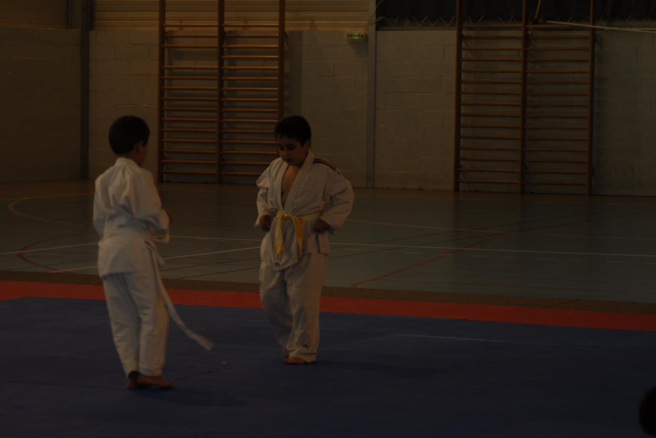 GROUPE DES PUCES (1)