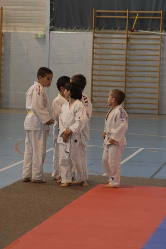 GROUPE DES PUCES (2)