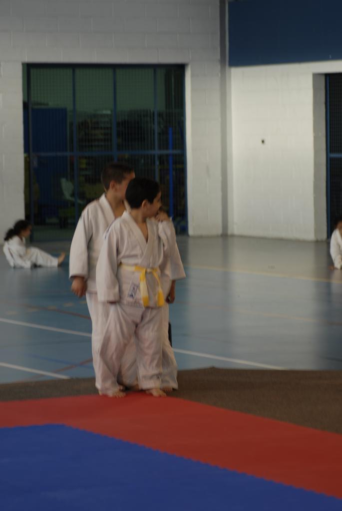 GROUPE DES PUCES (3)
