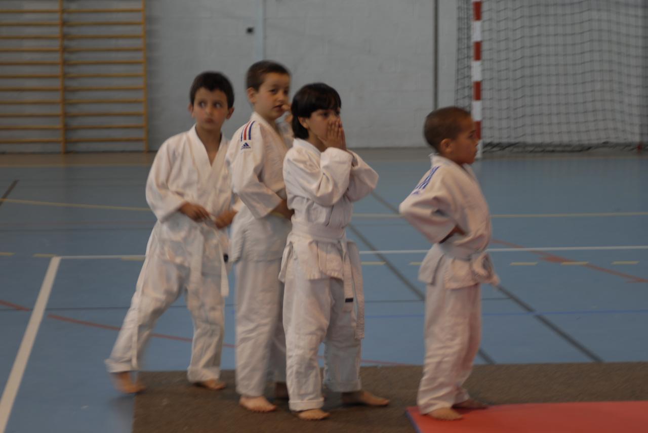 GROUPE DES PUCES (4)
