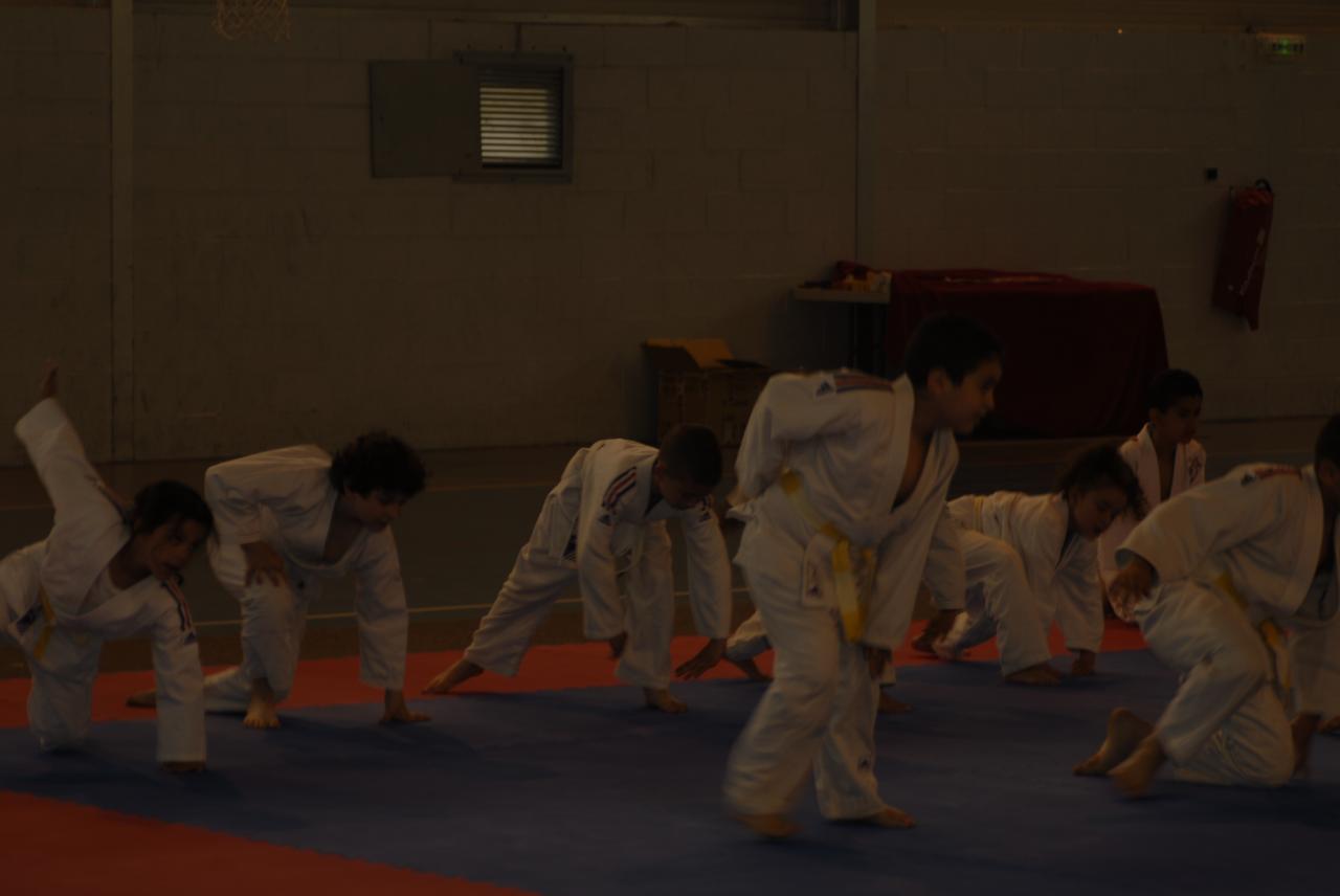 GROUPE DES PUCES (6)