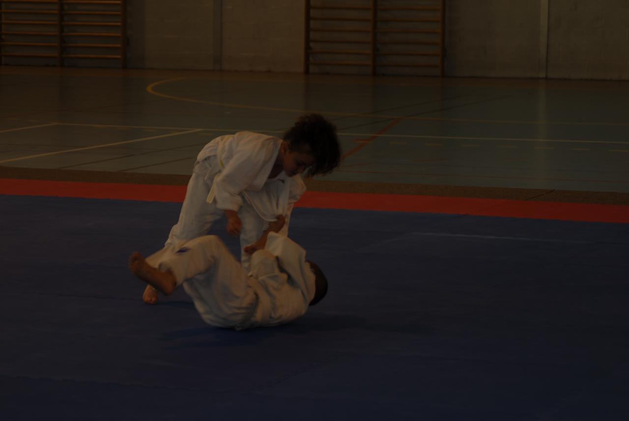 GROUPE DES PUCES (8)