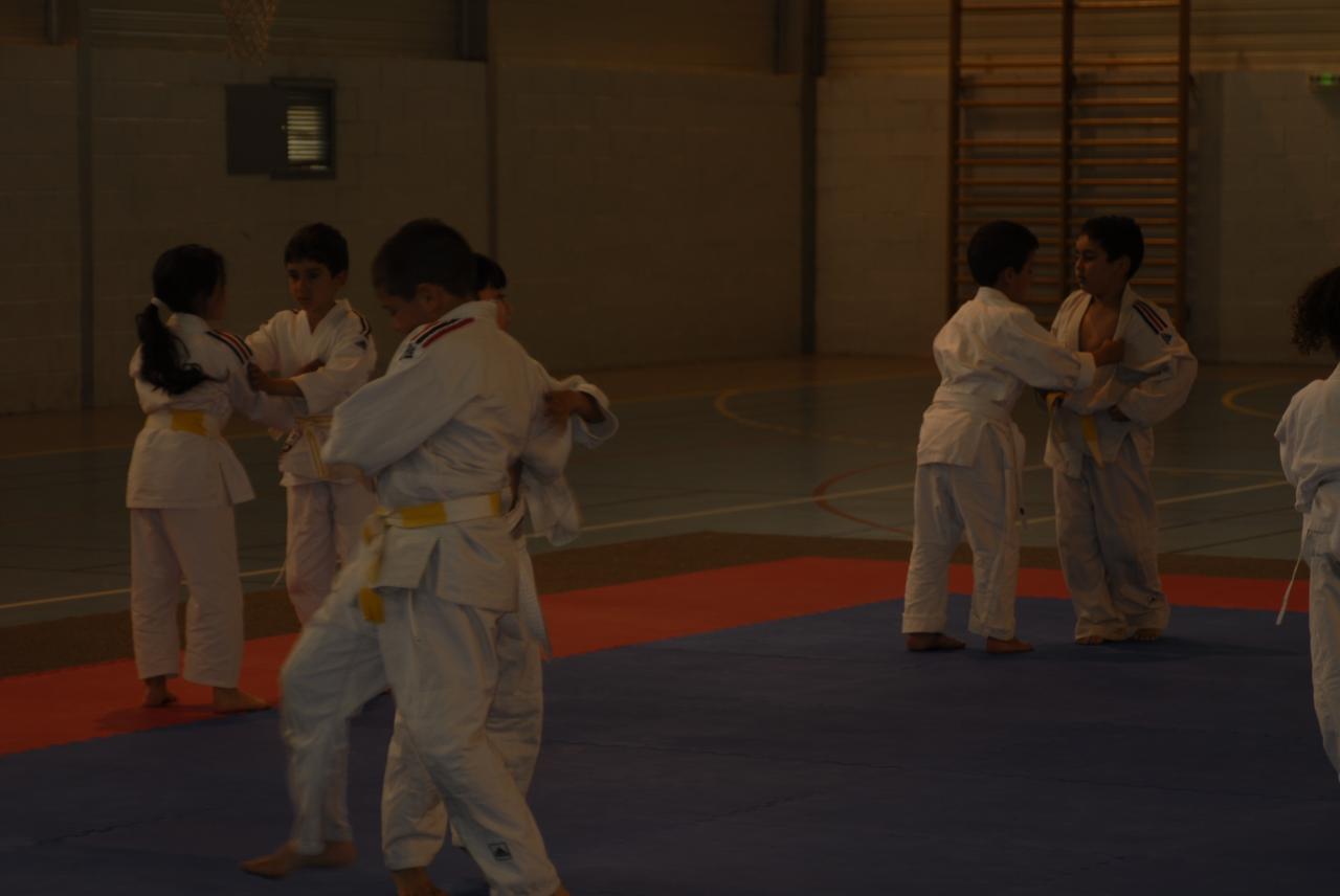 GROUPE DES PUCES (9)