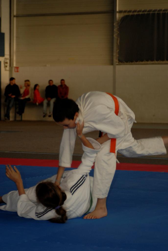 4. DEMONSTRATION DES GRANDS (12)