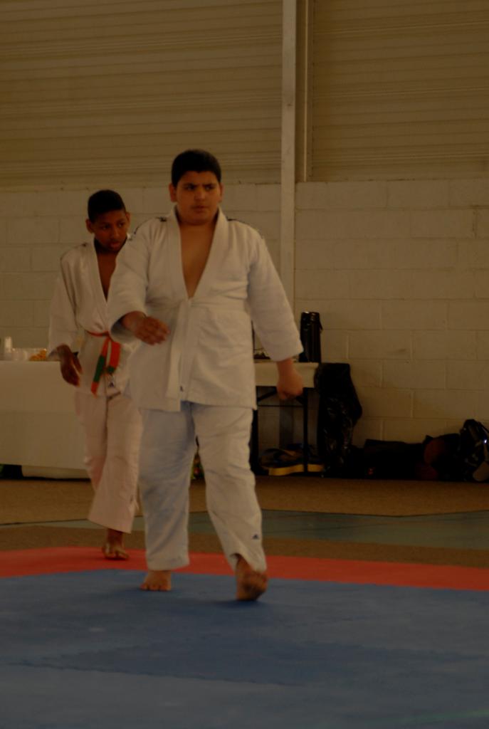 4. DEMONSTRATION DES GRANDS (13)