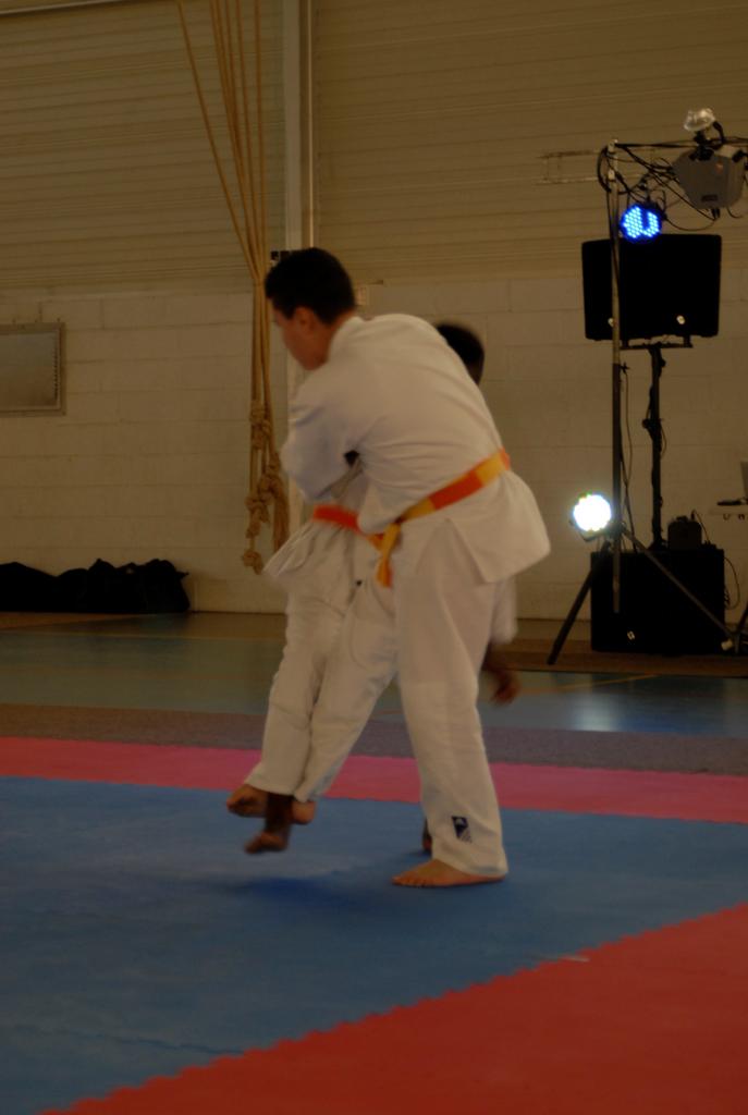 4. DEMONSTRATION DES GRANDS (15)