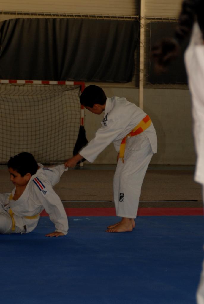 4. DEMONSTRATION DES GRANDS (16)