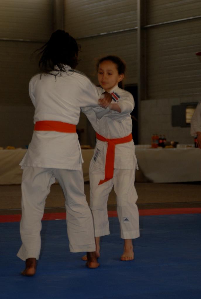 4. DEMONSTRATION DES GRANDS (18)