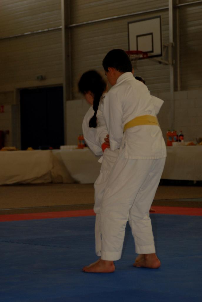 4. DEMONSTRATION DES GRANDS (19)