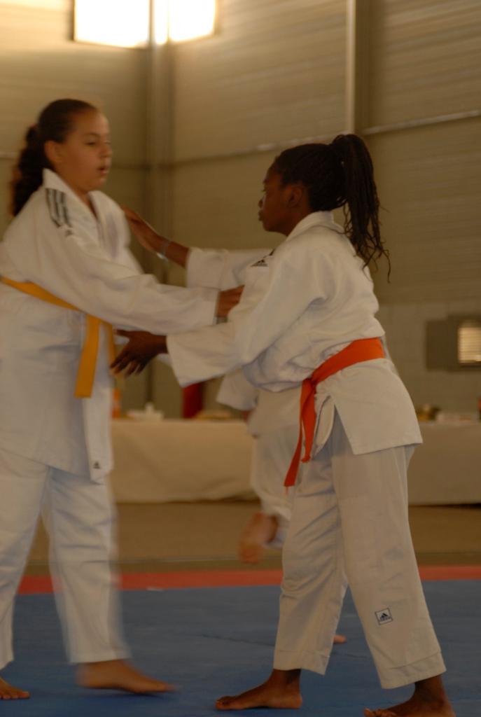 4. DEMONSTRATION DES GRANDS (24)