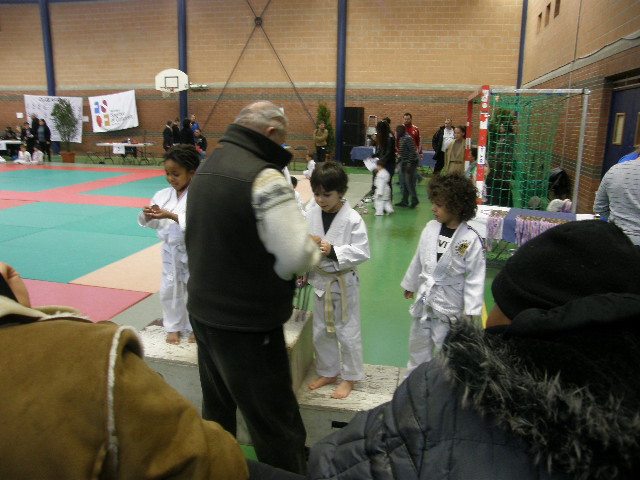 Amir (3)