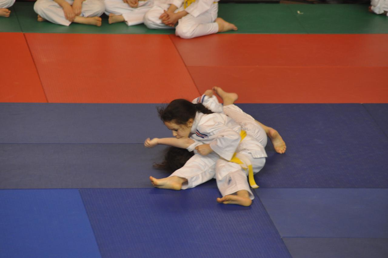 COMBATS DE CELIA (2)