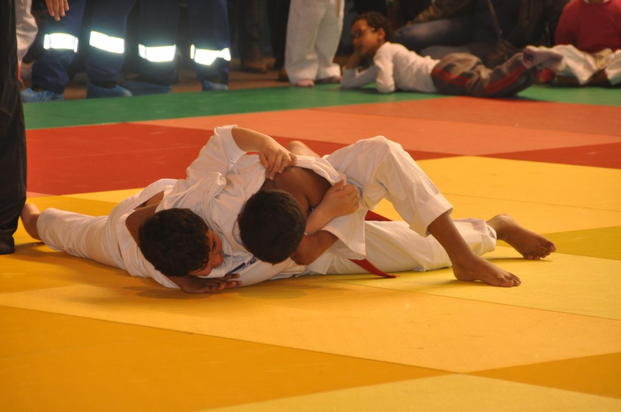 COMBATS DE MASSINISSA (3)