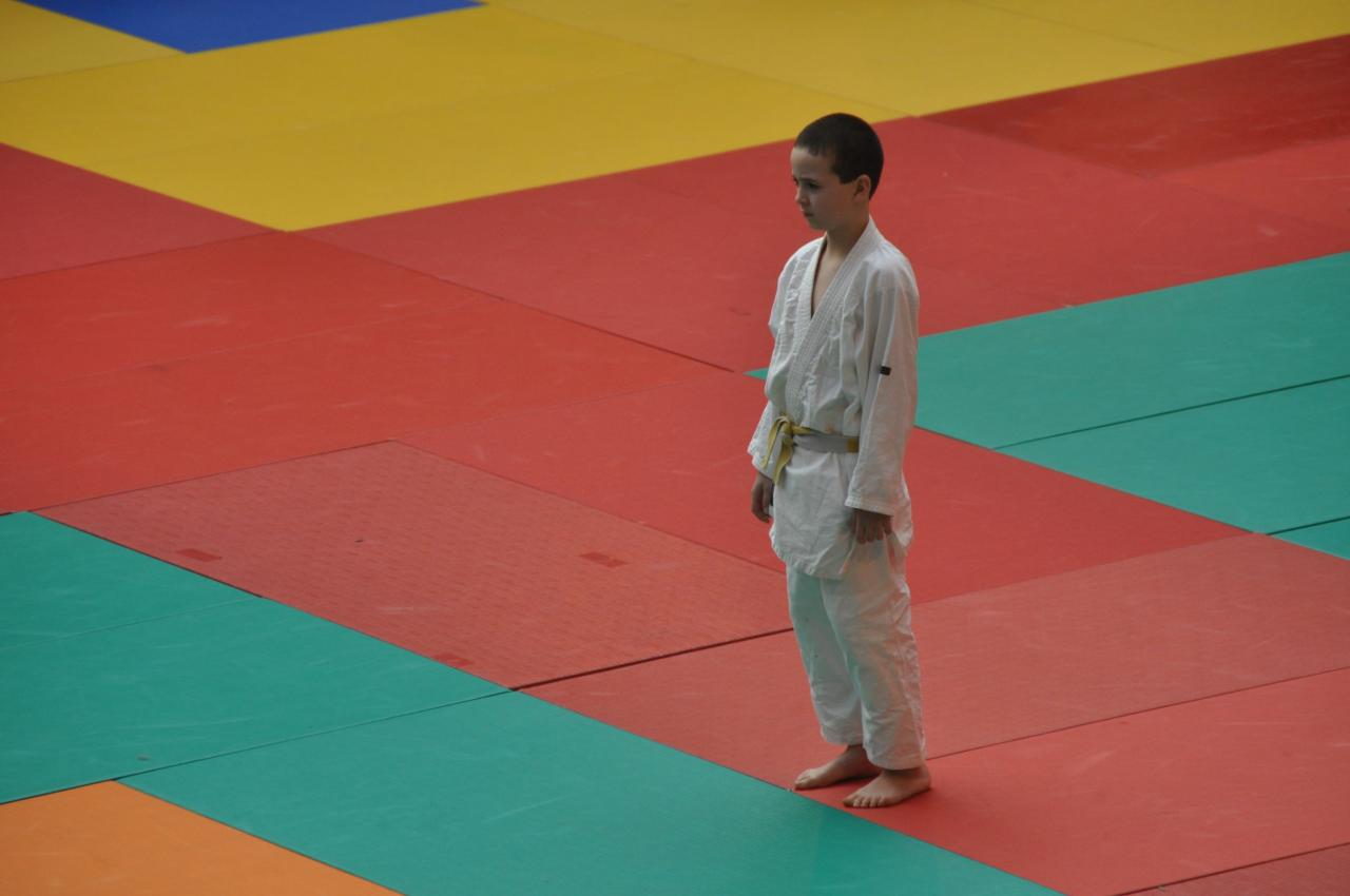 Combats de Nadjib (1)