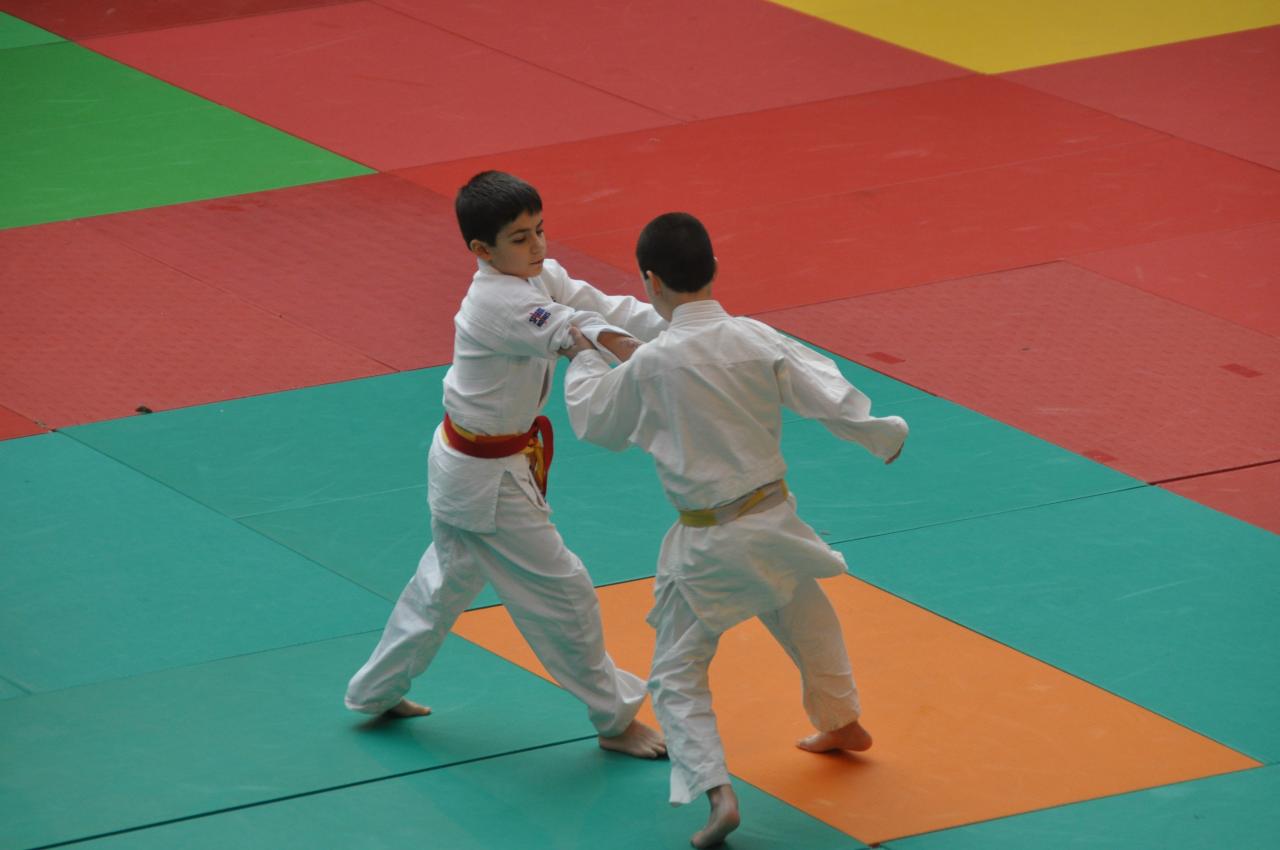 Combats de Nadjib (2)