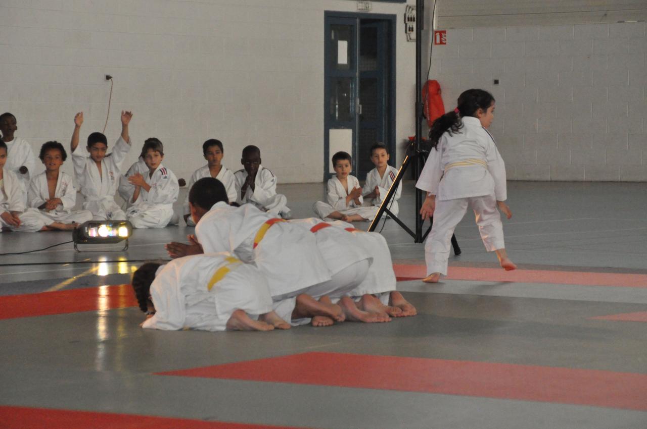 DEMONSTRATION DES GRANDS (13)