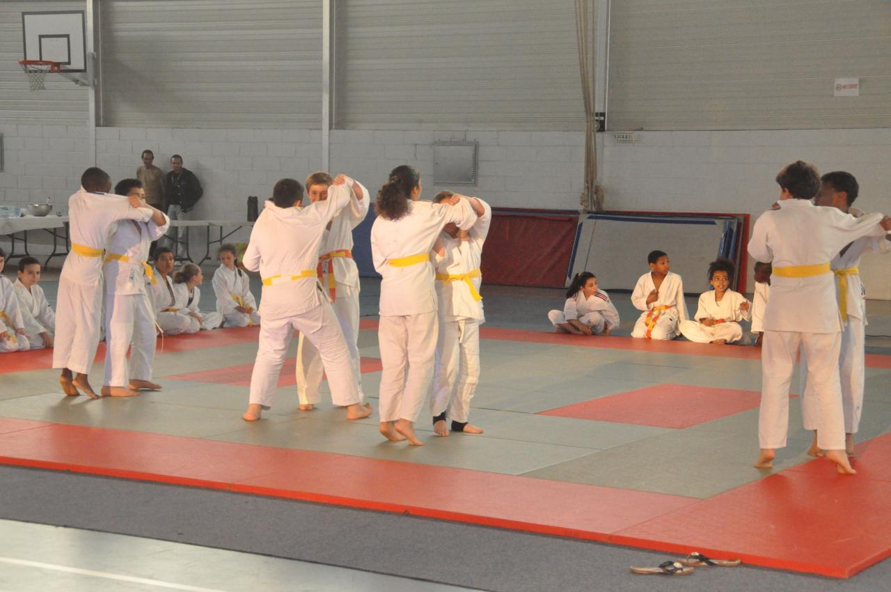 DEMONSTRATION DES GRANDS (14)