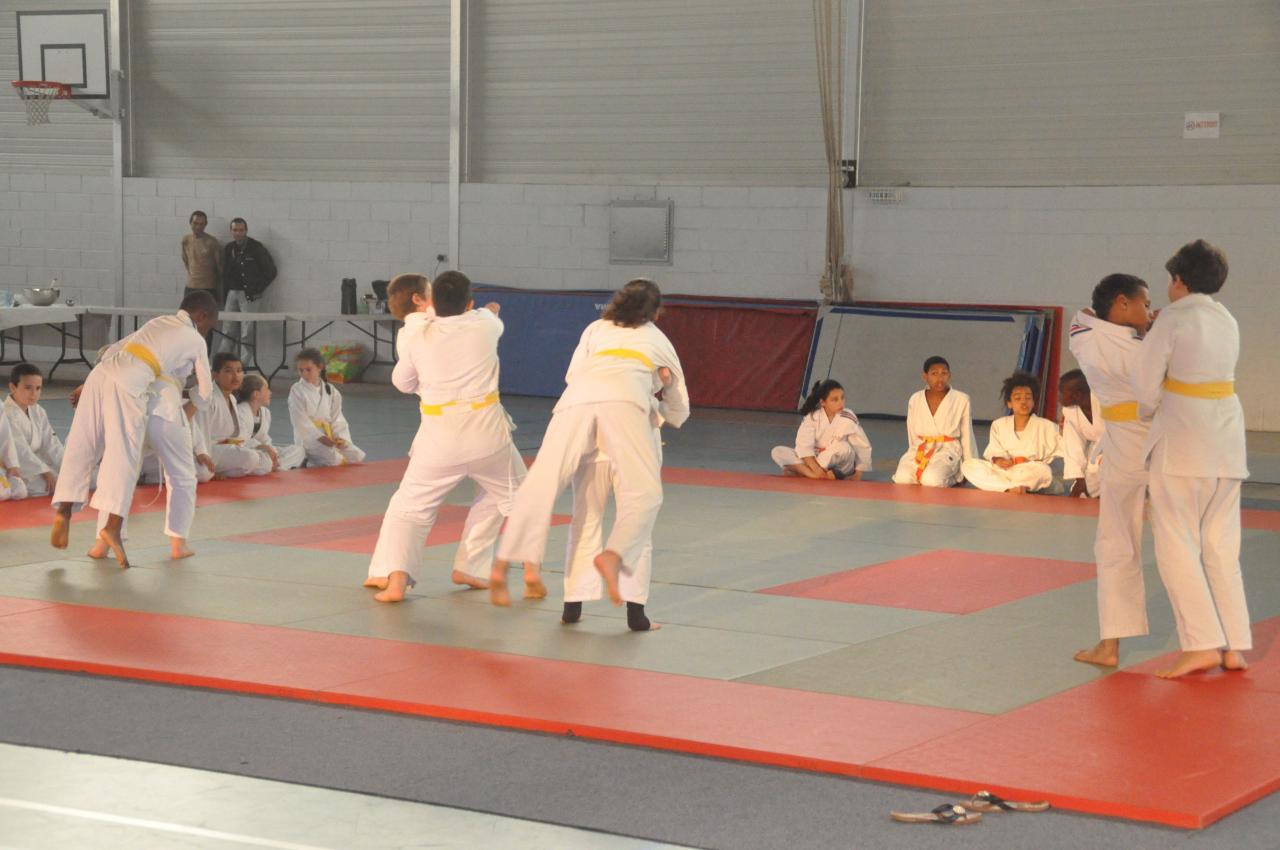 DEMONSTRATION DES GRANDS (15)
