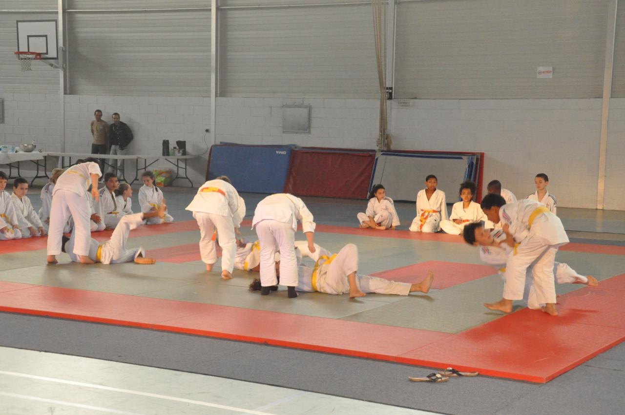DEMONSTRATION DES GRANDS (16)