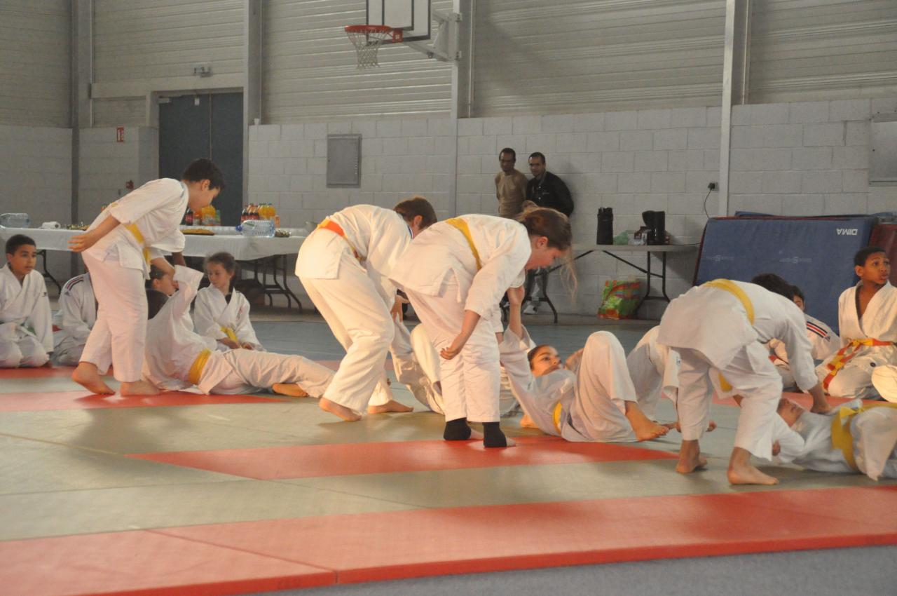 DEMONSTRATION DES GRANDS (17)