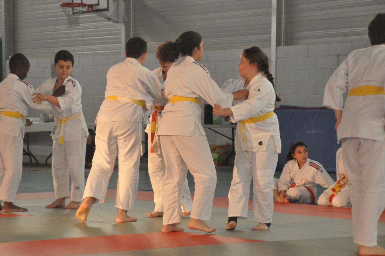 DEMONSTRATION DES GRANDS (18)