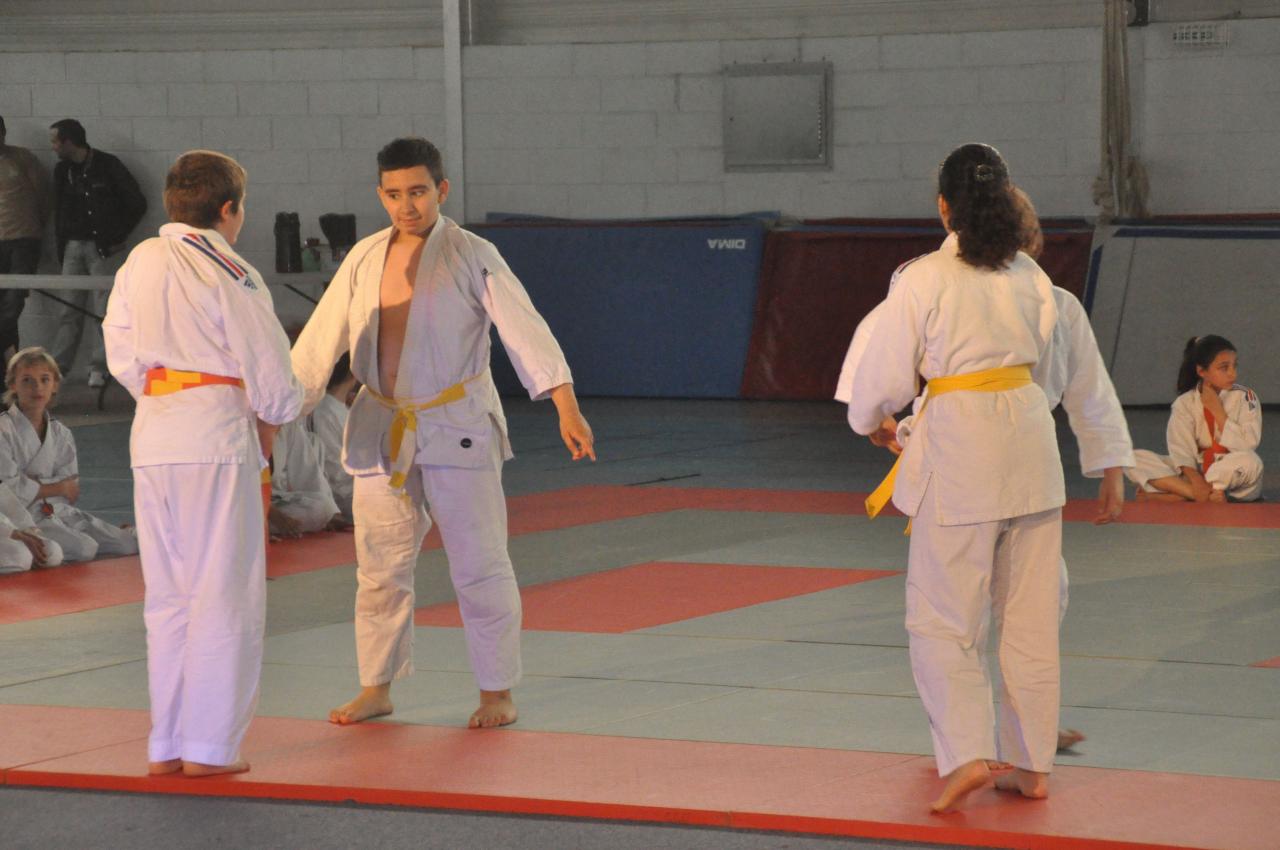 DEMONSTRATION DES GRANDS (20)