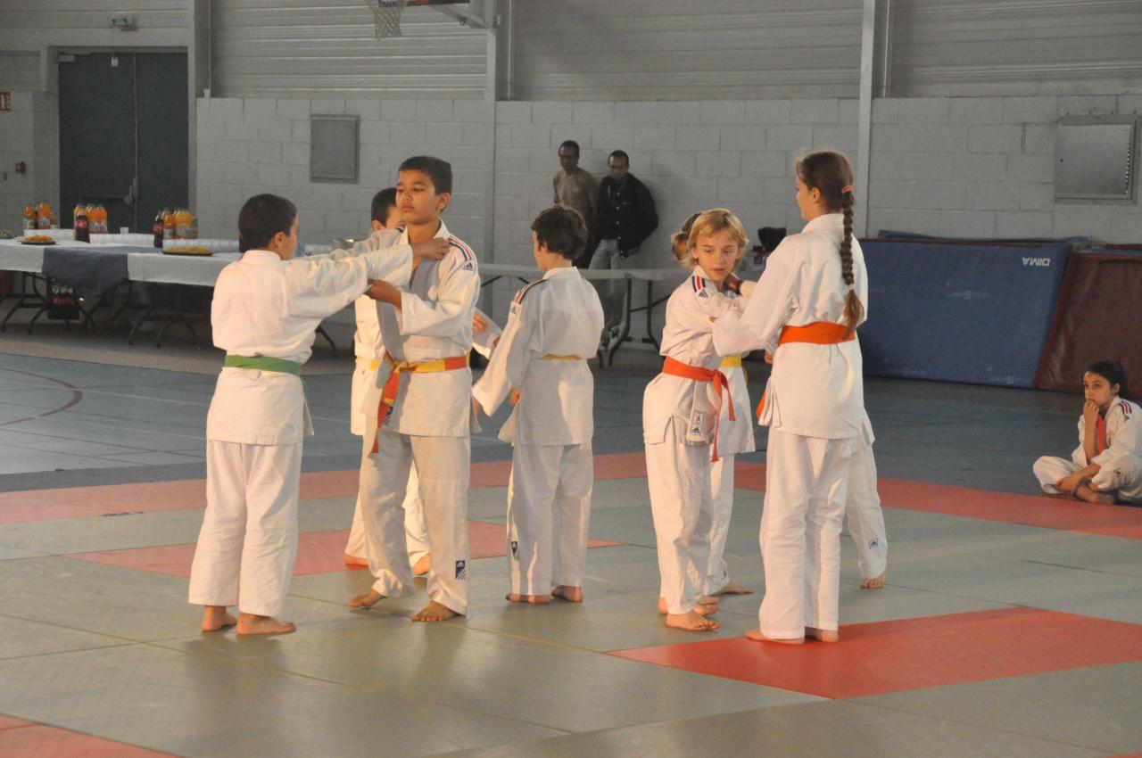 DEMONSTRATION DES GRANDS (23)