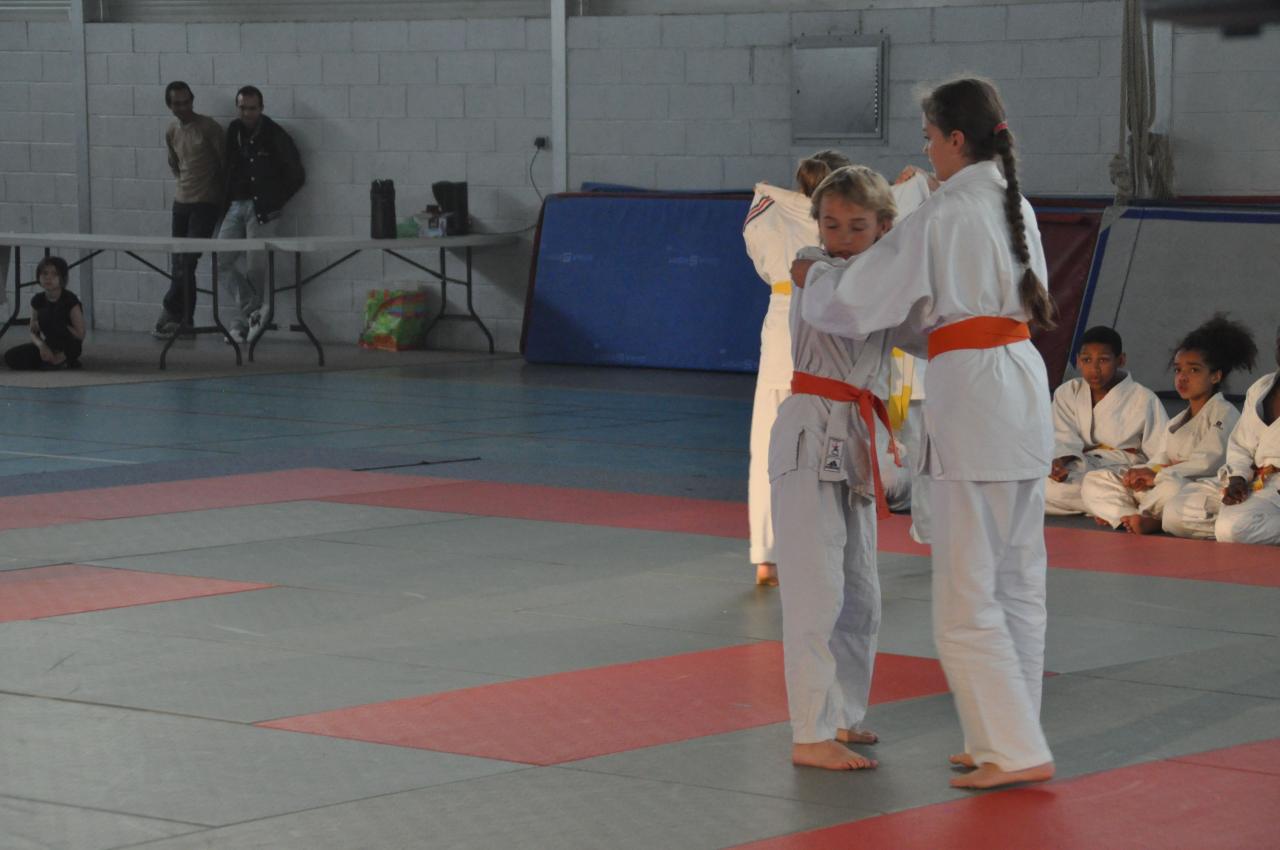 DEMONSTRATION DES GRANDS (25)