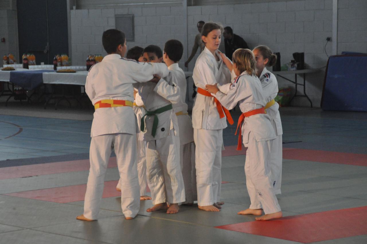 DEMONSTRATION DES GRANDS (27)