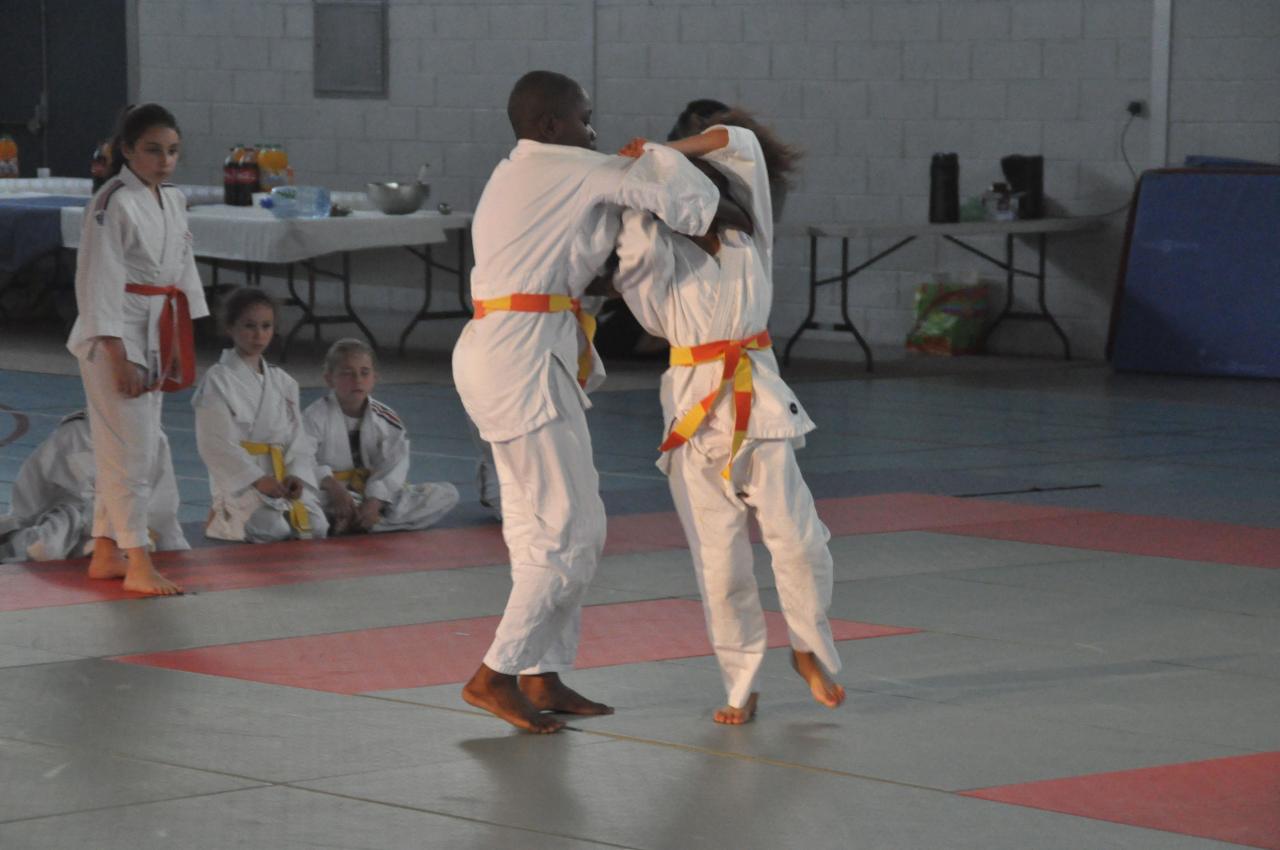 DEMONSTRATION DES GRANDS (29)