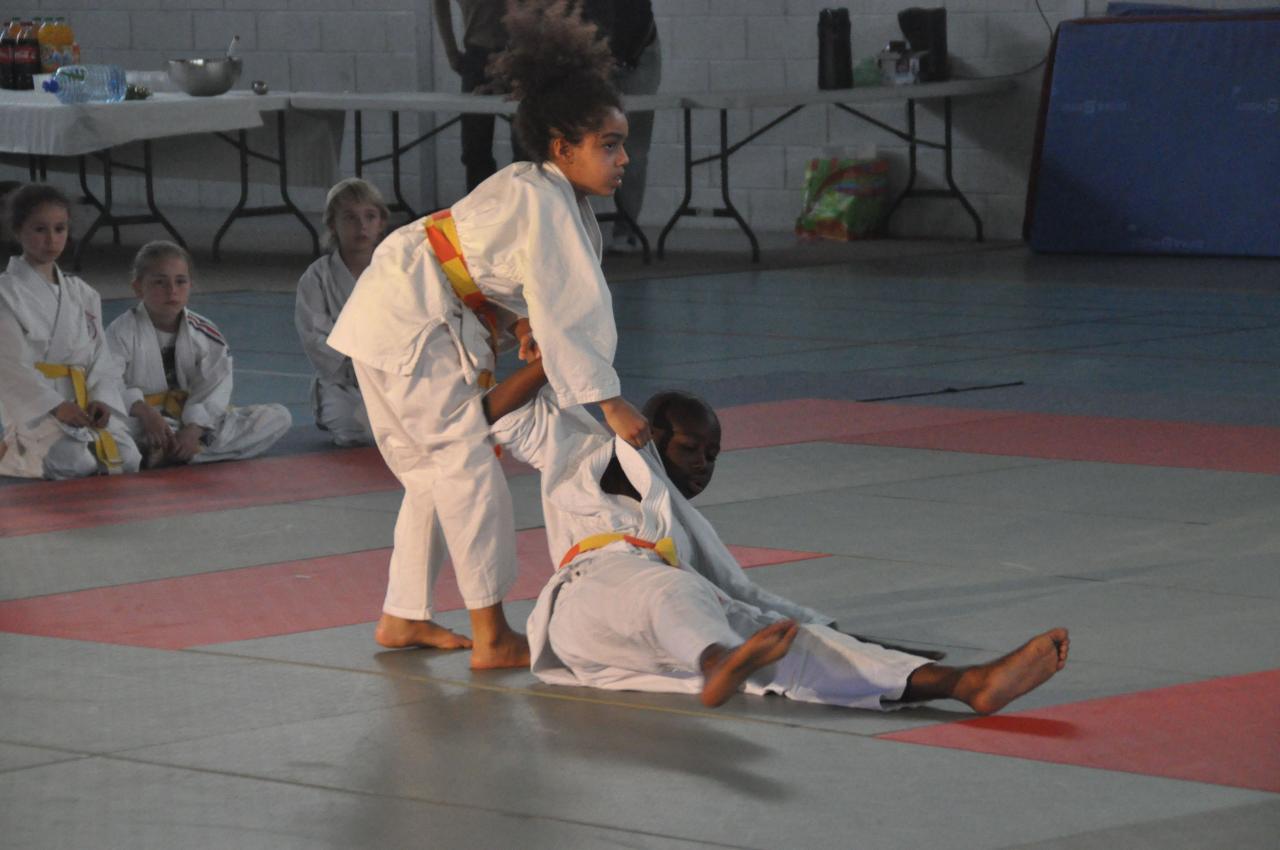 DEMONSTRATION DES GRANDS (31)