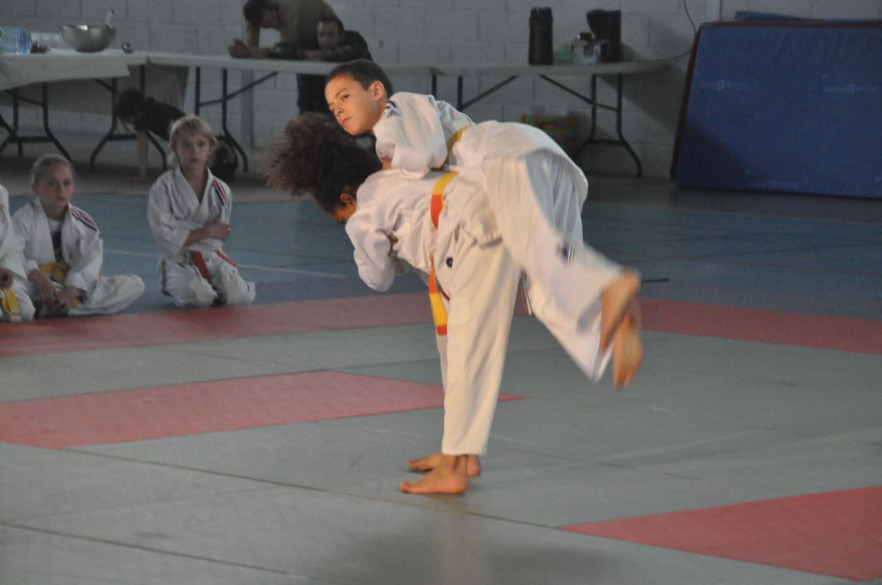 DEMONSTRATION DES GRANDS (32)