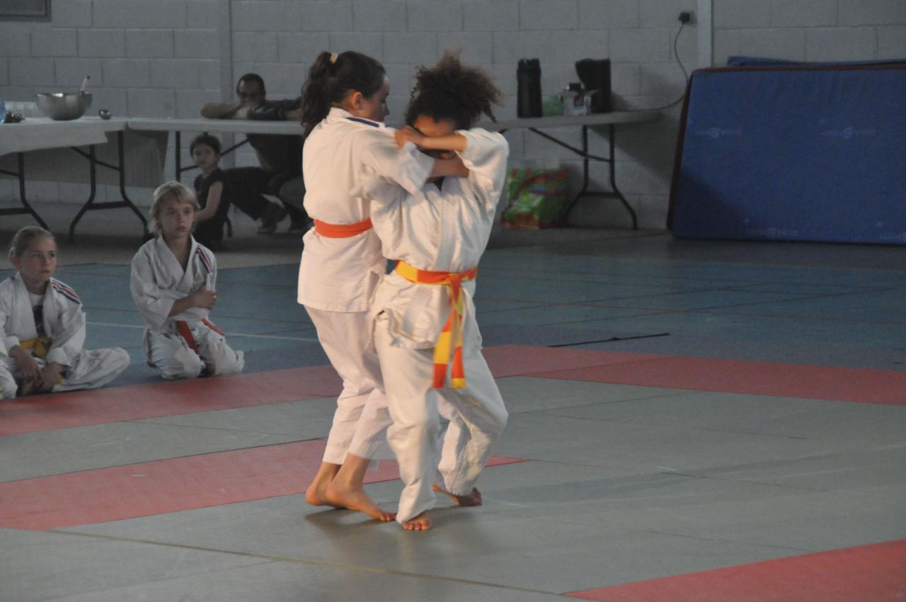 DEMONSTRATION DES GRANDS (34)