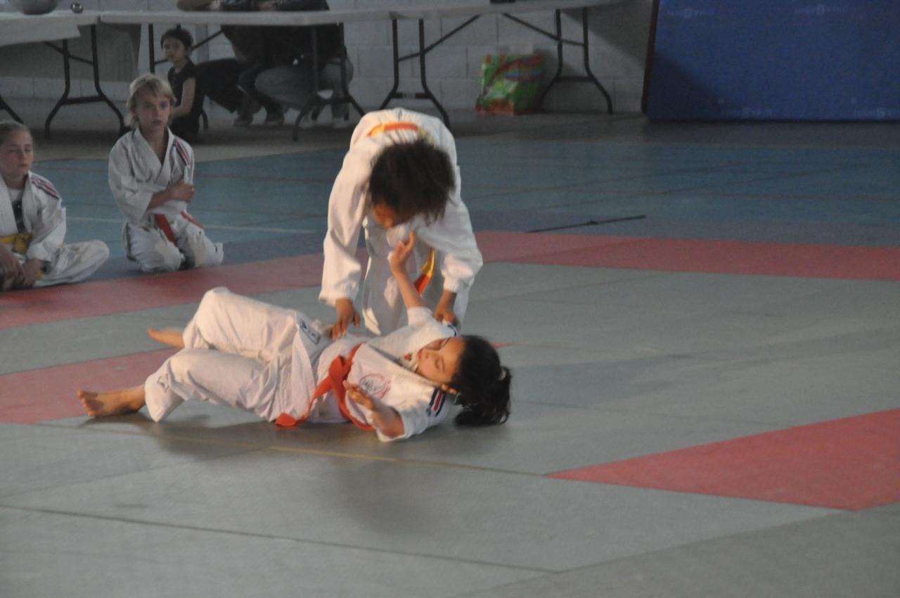 DEMONSTRATION DES GRANDS (36)