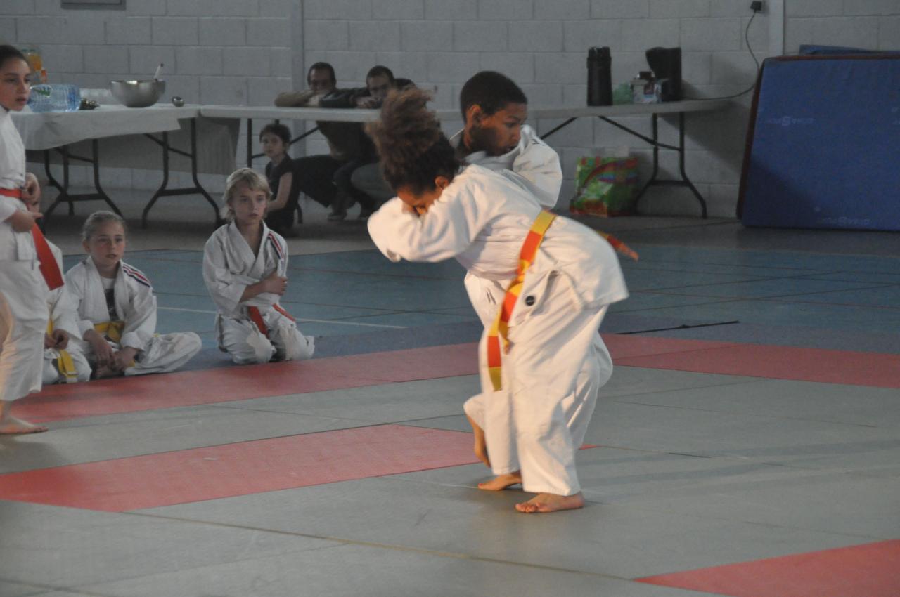 DEMONSTRATION DES GRANDS (37)