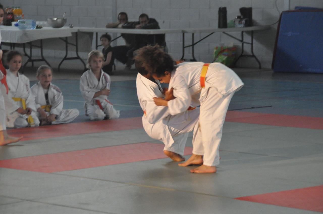 DEMONSTRATION DES GRANDS (38)