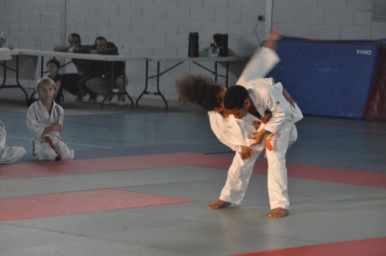 DEMONSTRATION DES GRANDS (39)