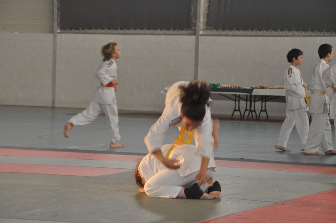 DEMONSTRATION DES GRANDS (6)
