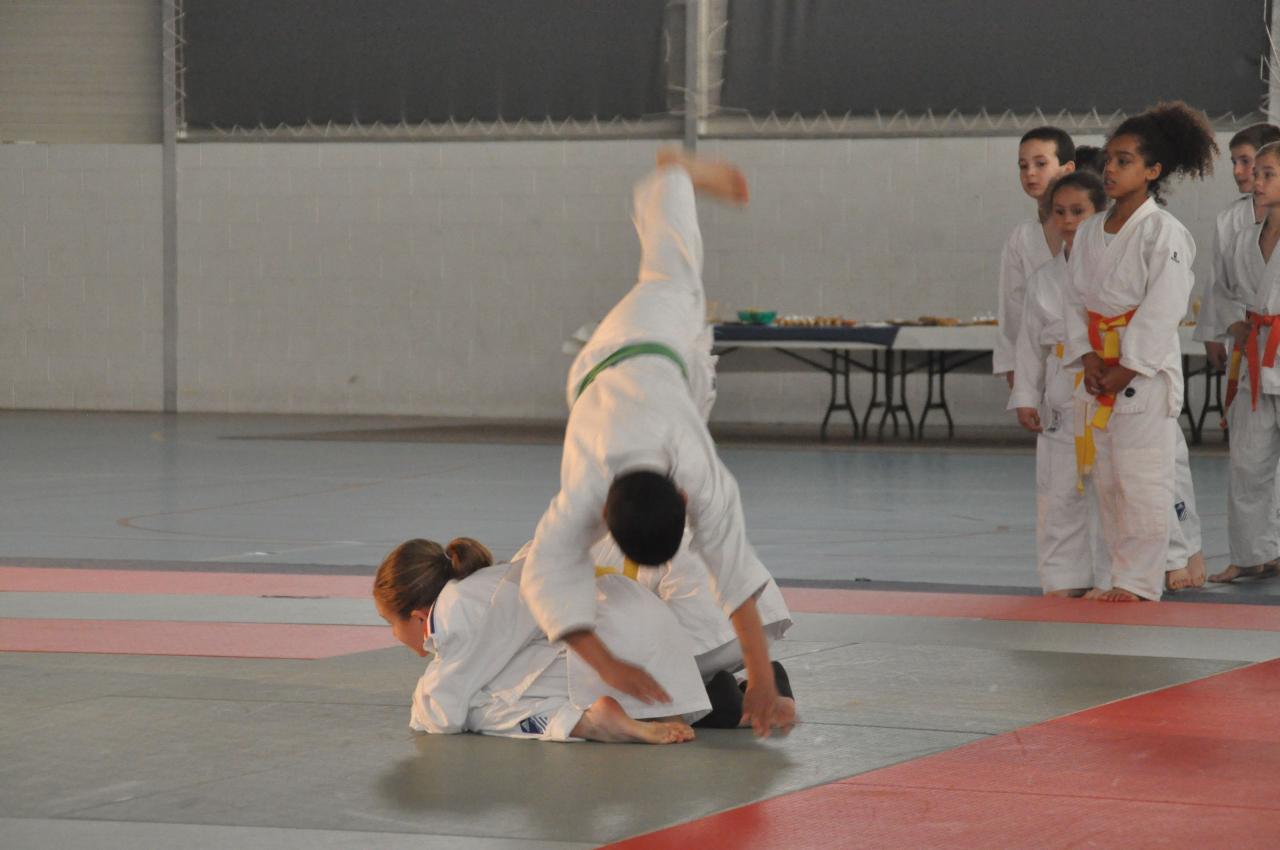 DEMONSTRATION DES GRANDS (8)