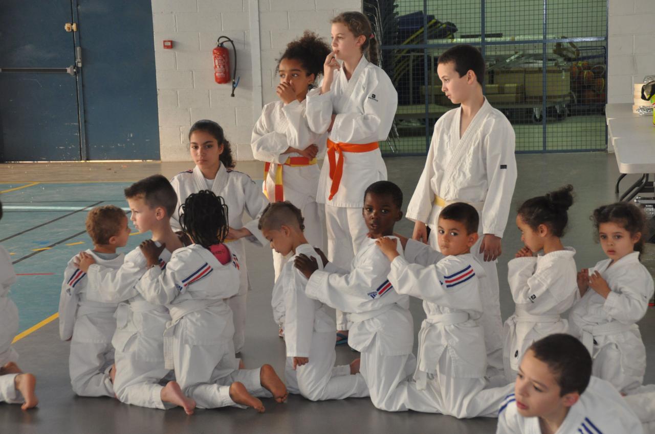 DISCOURS DU REPRESENTANT DE LA LIGUE JUDO 93 (18)