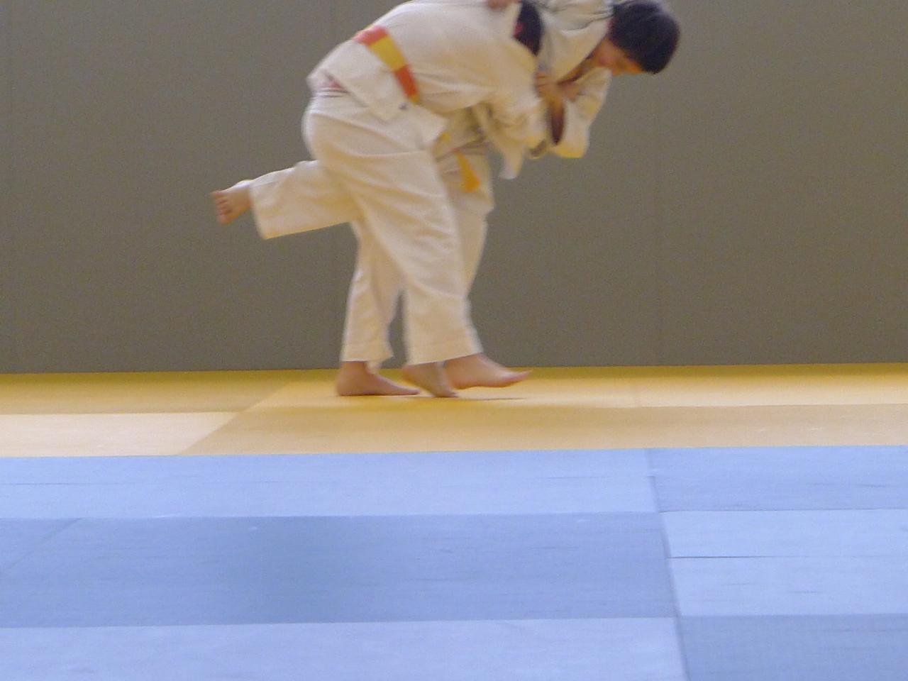 Entrainement Interclubs à Villemomble (100)