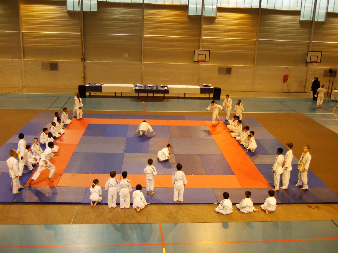 Gala judo (1)