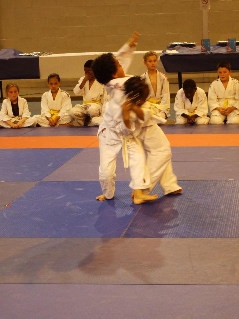Gala judo (10)