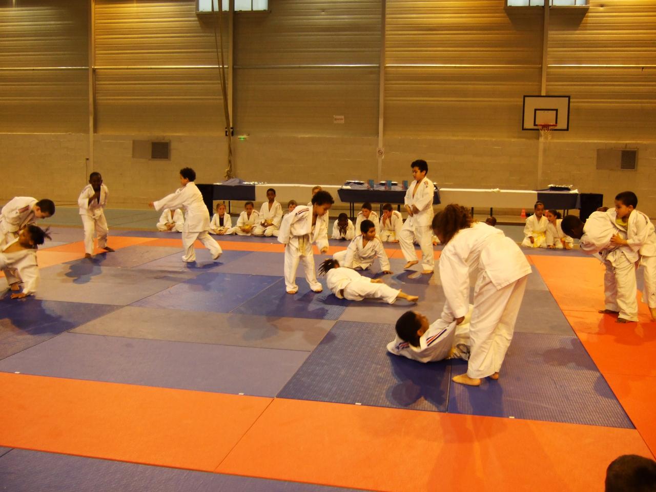 Gala judo (11)