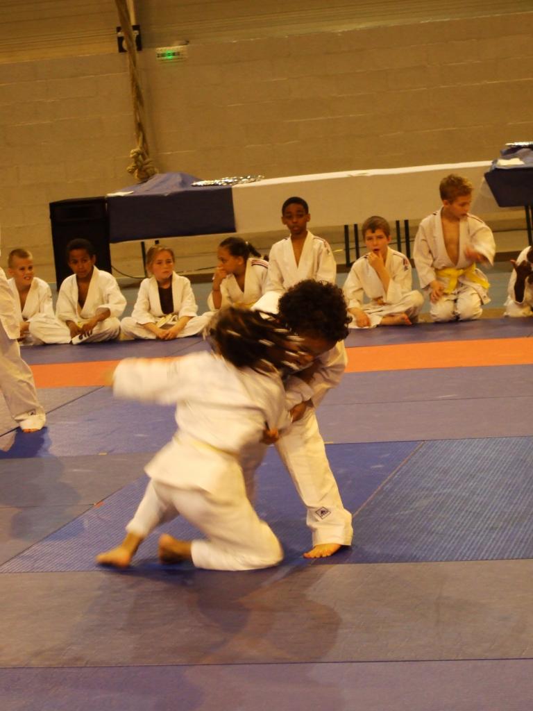 Gala judo (12)