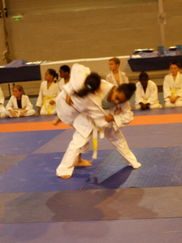 Gala judo (13)