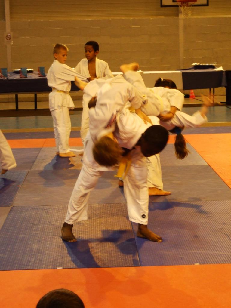 Gala judo (14)