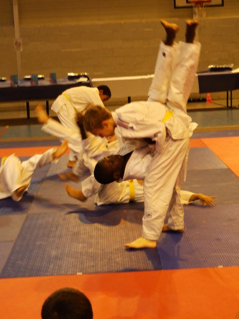 Gala judo (15)