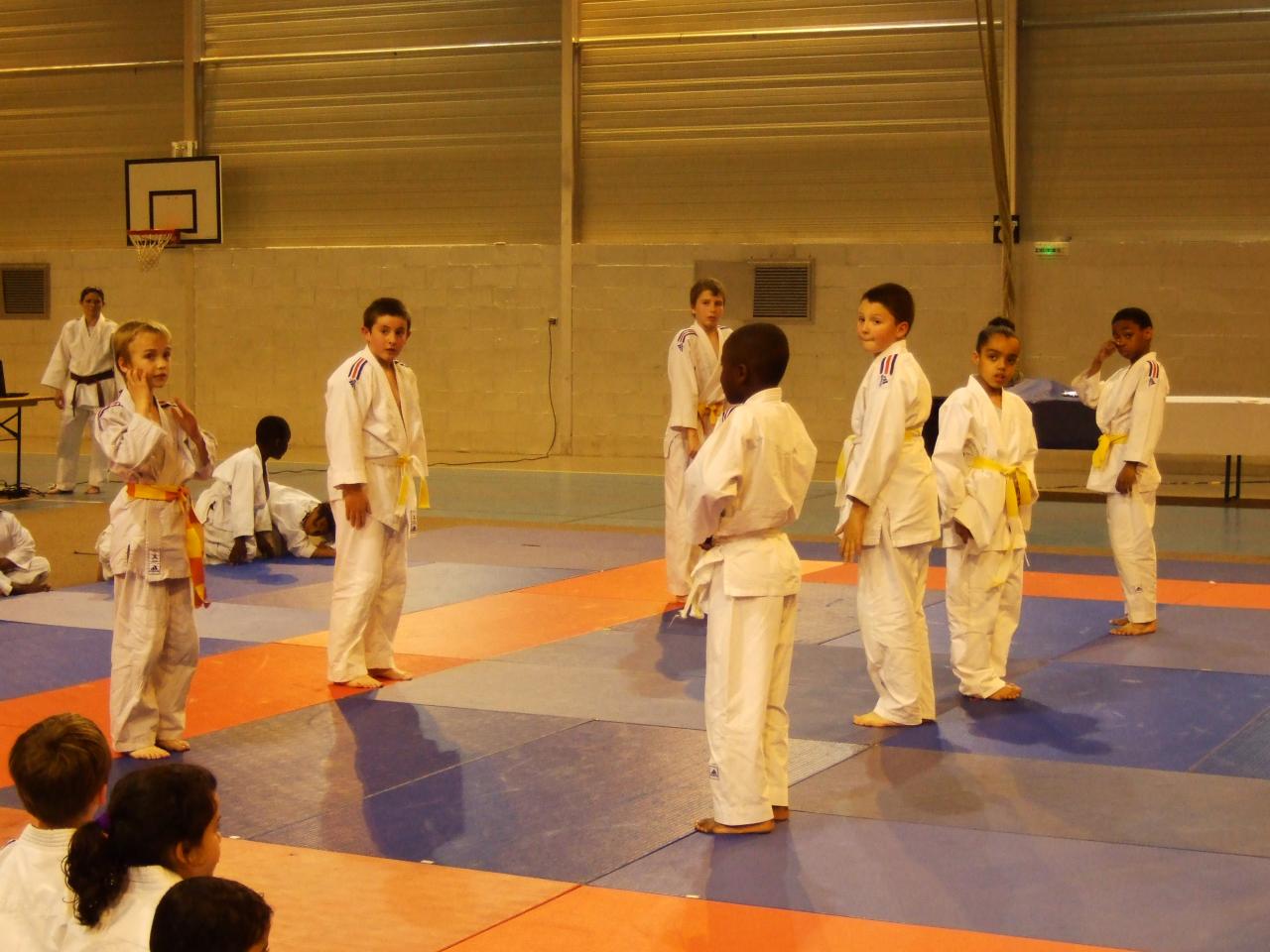 Gala judo (16)